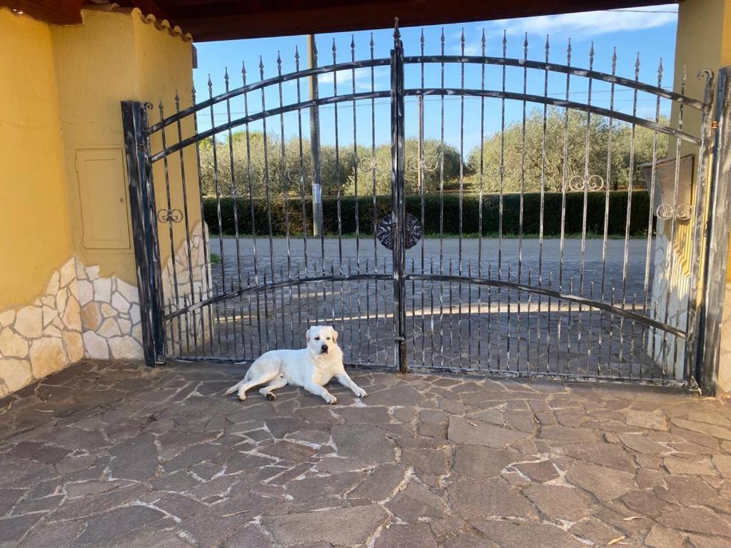 Villa Pedrosu Casa Linari Zewnętrze zdjęcie